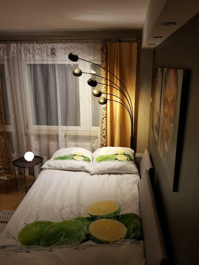 Apartament Euro 1 ビトム エクステリア 写真