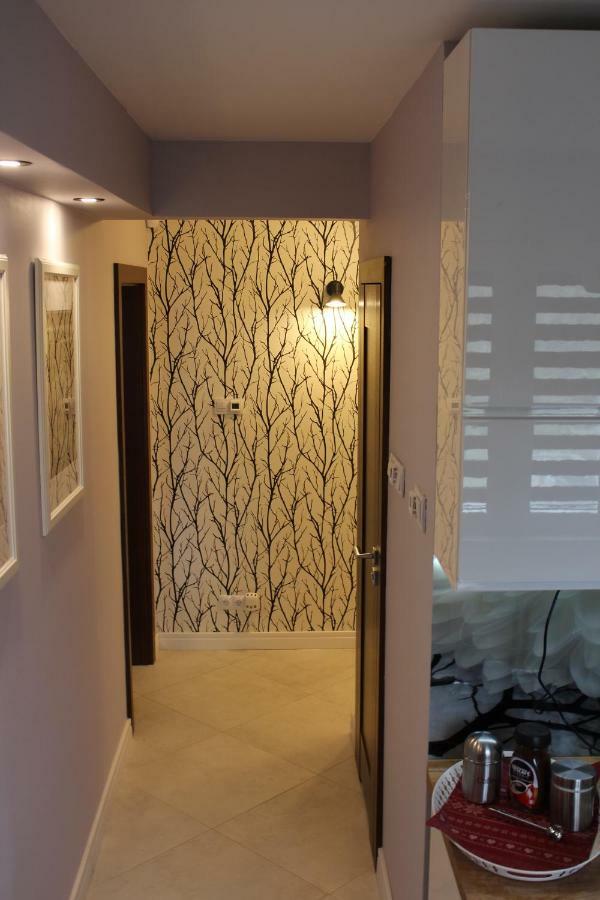 Apartament Euro 1 ビトム エクステリア 写真