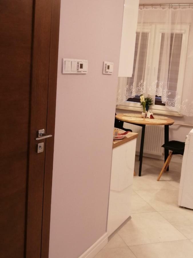 Apartament Euro 1 ビトム エクステリア 写真